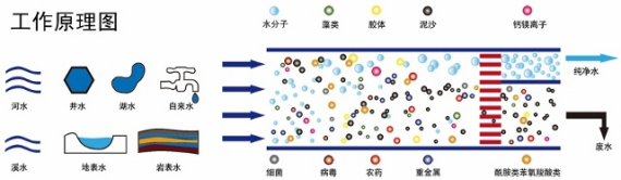 图片112.png
